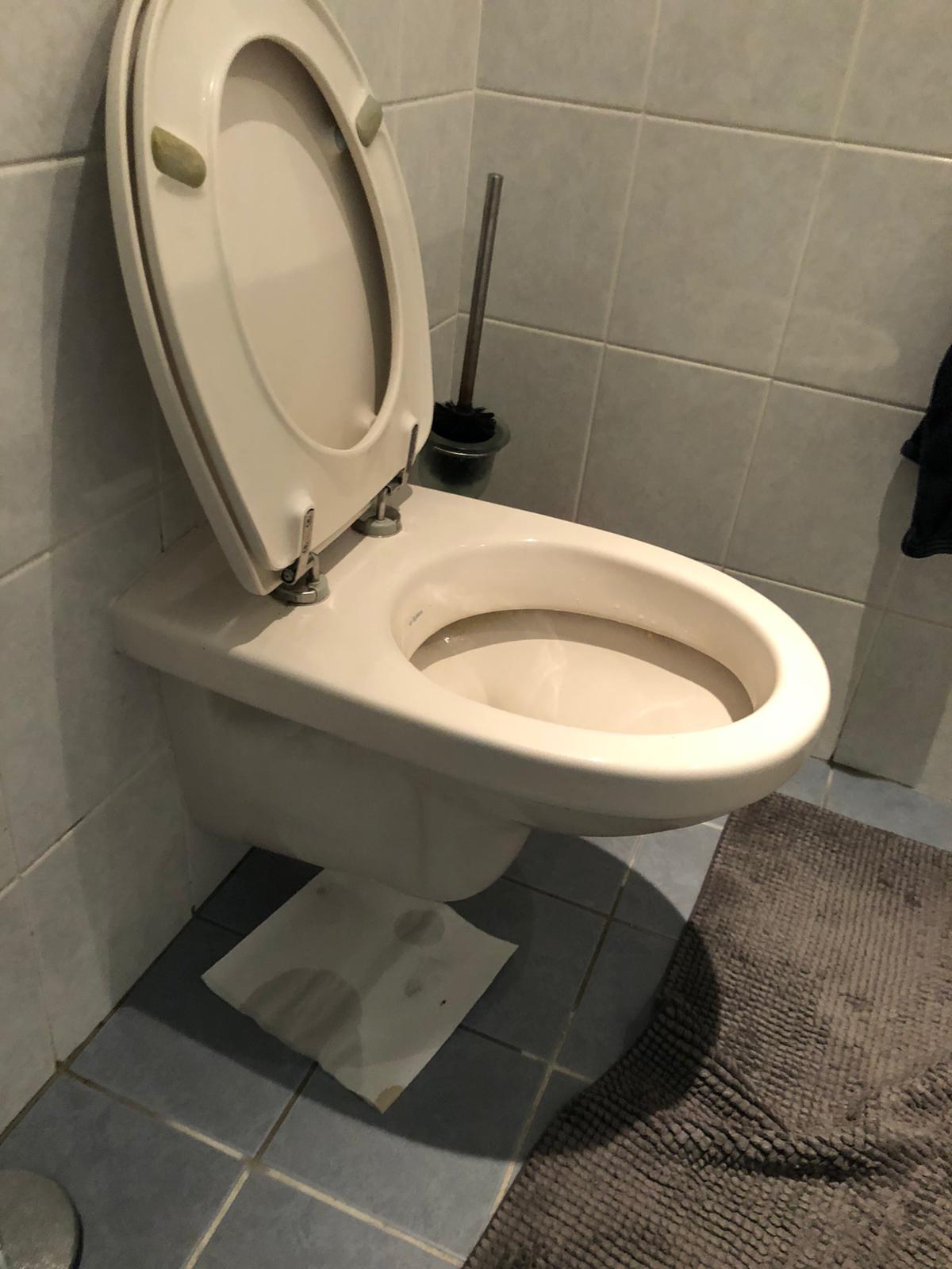 hangtoilet Delfgauw